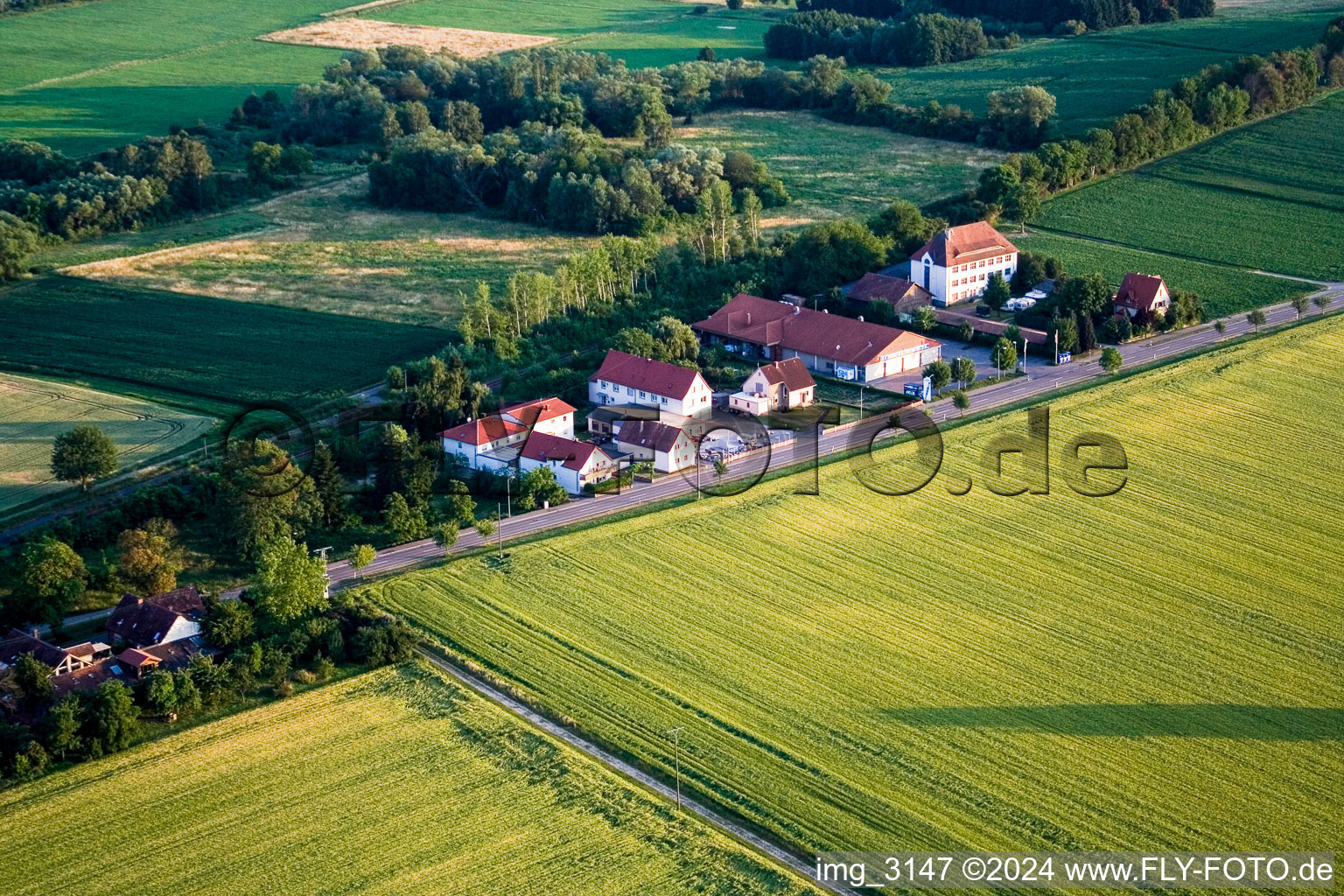 Image drone de Steinfeld dans le département Rhénanie-Palatinat, Allemagne