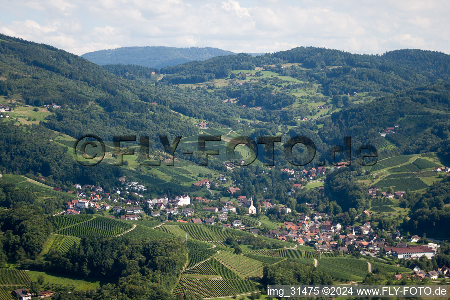 Vue aérienne de Sasbach dans le département Bade-Wurtemberg, Allemagne