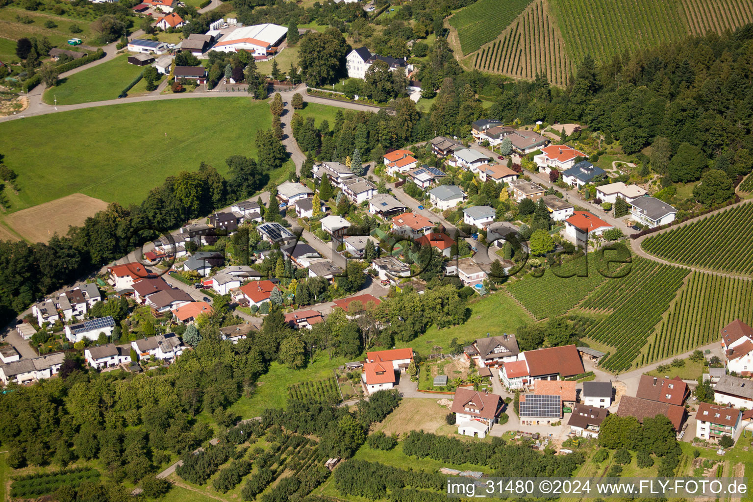 Vue aérienne de Kammersbrunn, terrain de sport à Sasbach dans le département Bade-Wurtemberg, Allemagne