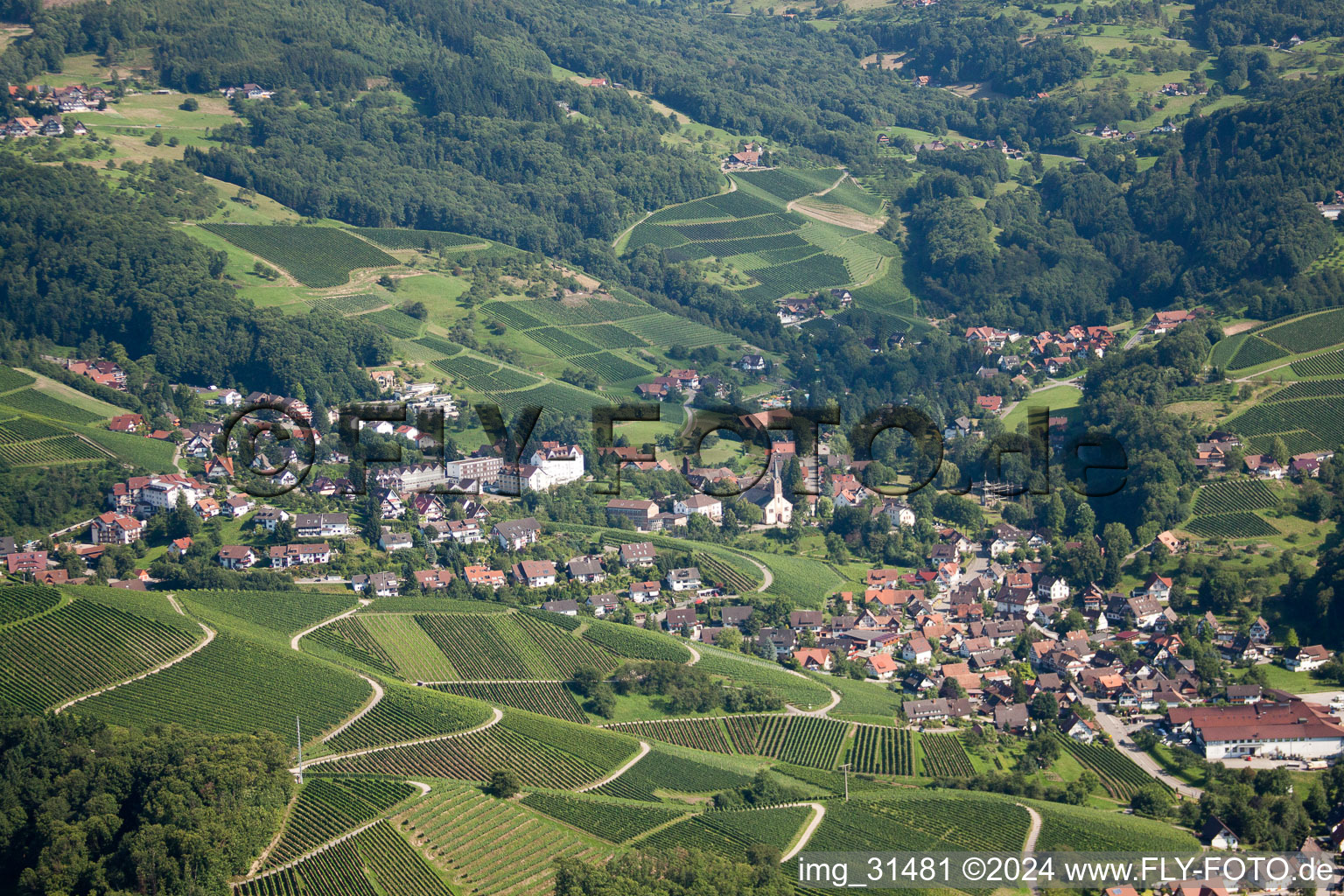 Vue aérienne de Obersasbach à Sasbach dans le département Bade-Wurtemberg, Allemagne