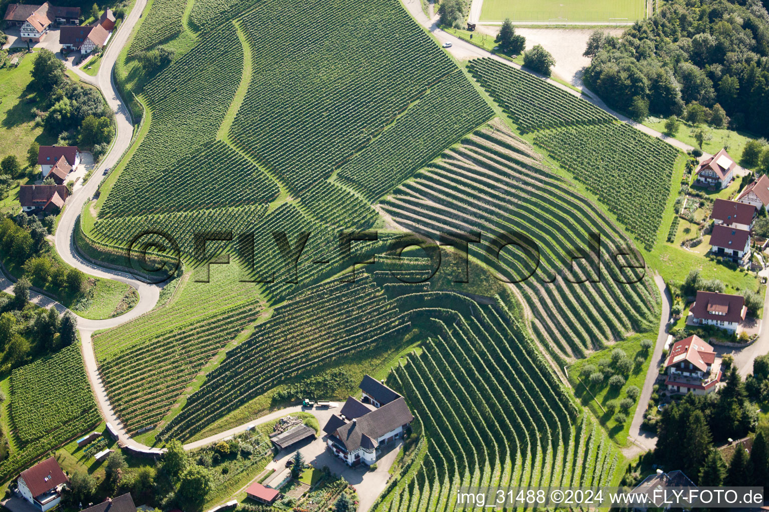 Vue aérienne de Vignobles près de Bernhardshöfe à Kappelrodeck dans le département Bade-Wurtemberg, Allemagne