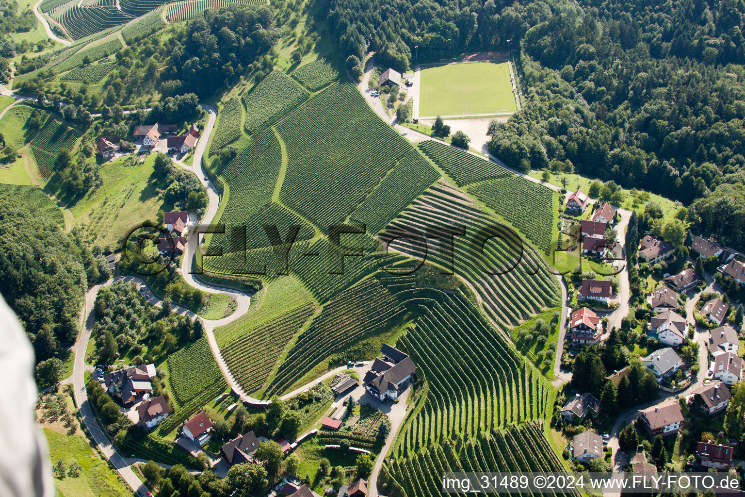 Vue aérienne de Vignobles près de Bernhardshöfe à Kappelrodeck dans le département Bade-Wurtemberg, Allemagne