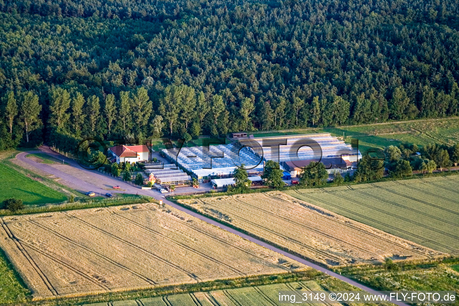 Vue aérienne de Terre de cactus à Steinfeld dans le département Rhénanie-Palatinat, Allemagne