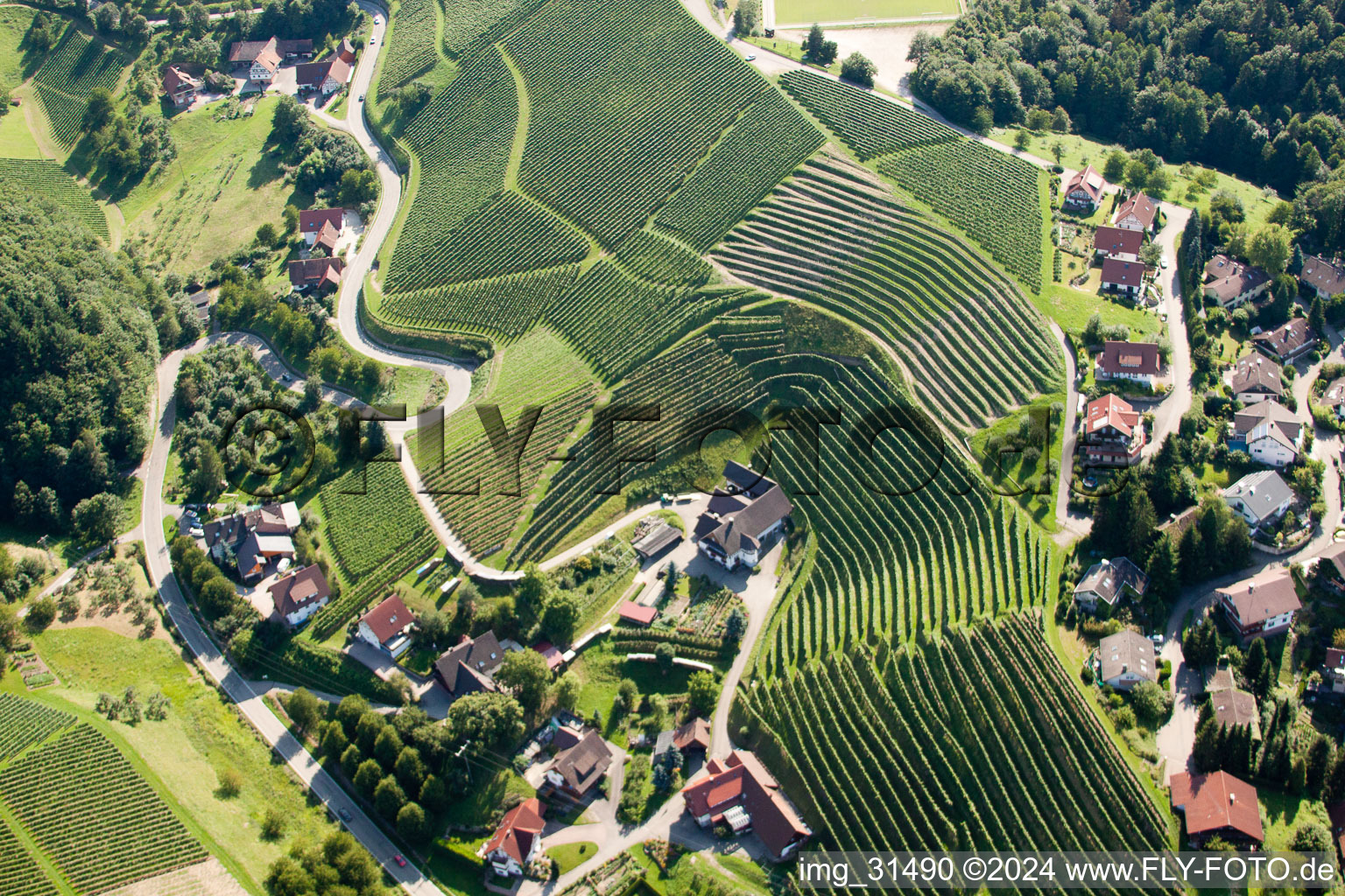 Photographie aérienne de Vignobles près de Bernhardshöfe à Kappelrodeck dans le département Bade-Wurtemberg, Allemagne