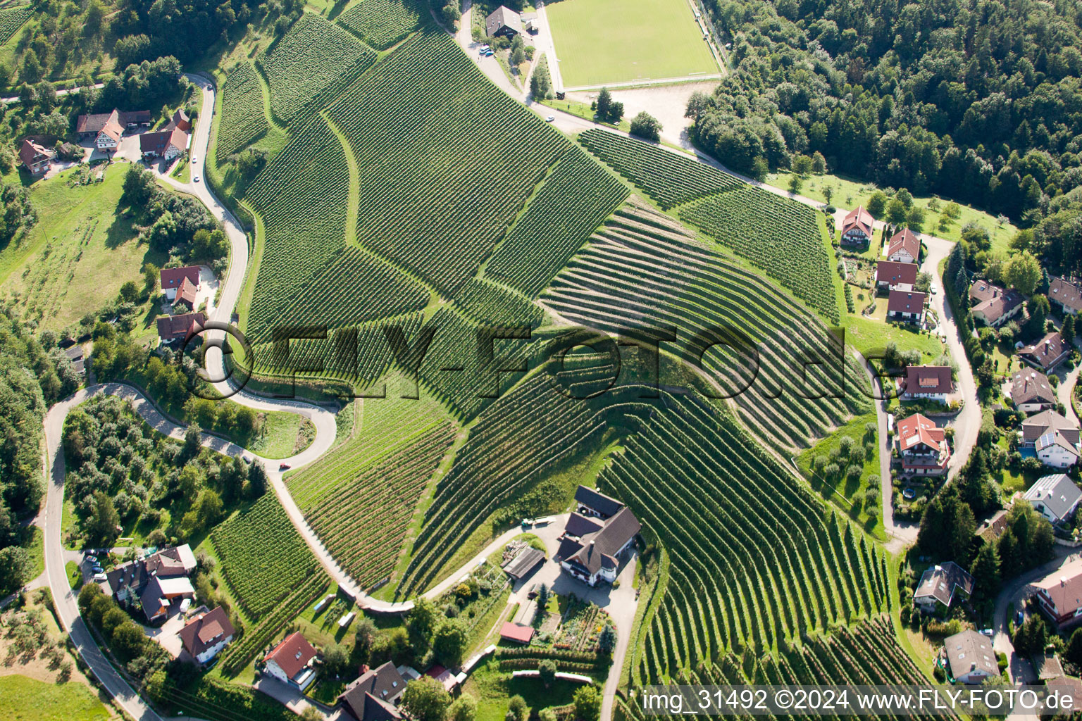 Vue aérienne de Vignobles près de Bernhardshöfe à Kappelrodeck dans le département Bade-Wurtemberg, Allemagne