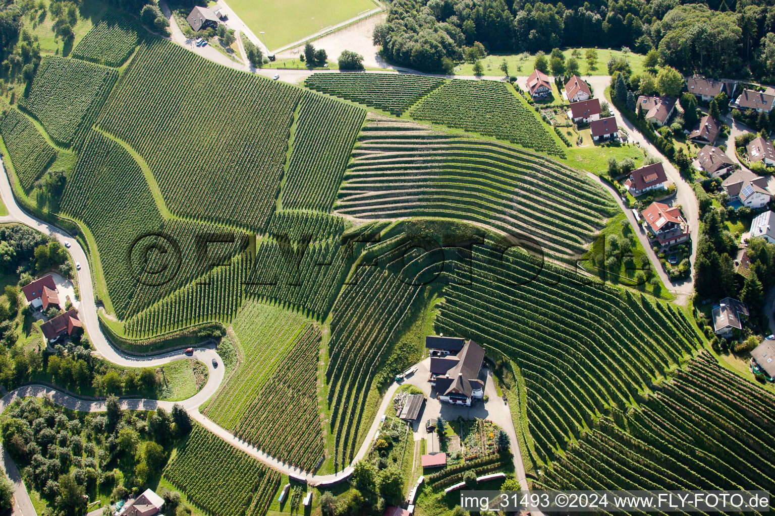 Vue aérienne de Vignobles près de Bernhardshöfe à Kappelrodeck dans le département Bade-Wurtemberg, Allemagne