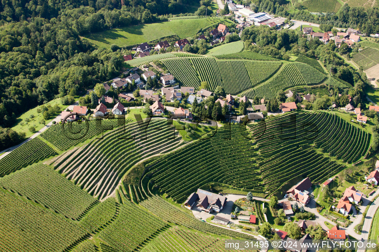 Photographie aérienne de Vignobles près de Bernhardshöfe à Kappelrodeck dans le département Bade-Wurtemberg, Allemagne