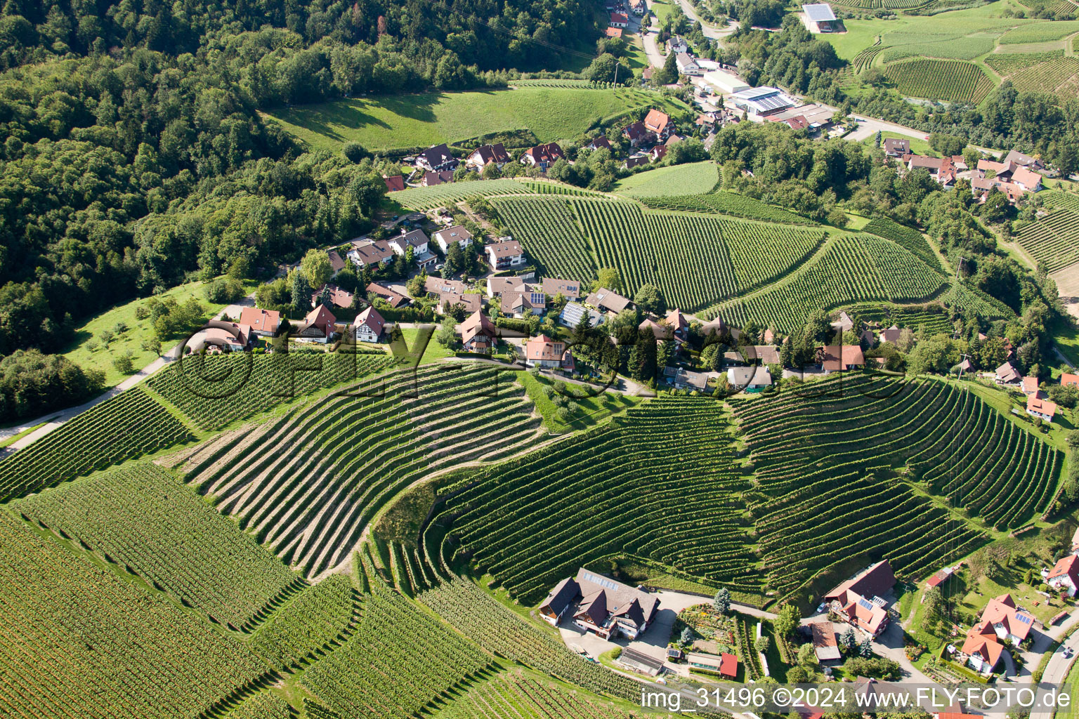 Vue oblique de Vignobles près de Bernhardshöfe à Kappelrodeck dans le département Bade-Wurtemberg, Allemagne