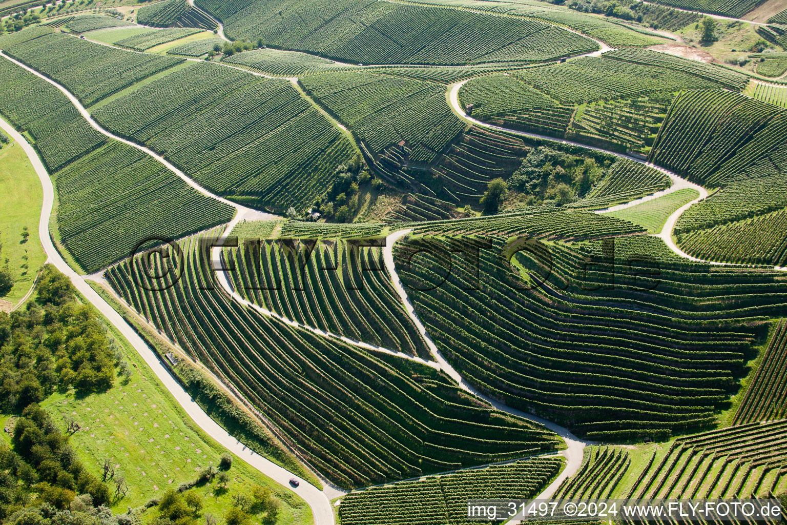 Vignobles près de Bernhardshöfe à Kappelrodeck dans le département Bade-Wurtemberg, Allemagne d'en haut