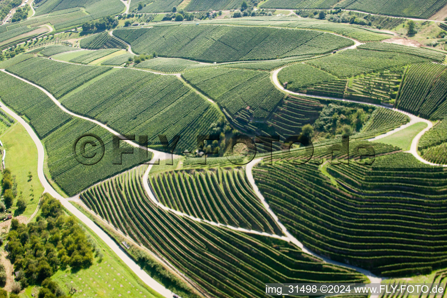 Vignobles près de Bernhardshöfe à Kappelrodeck dans le département Bade-Wurtemberg, Allemagne hors des airs