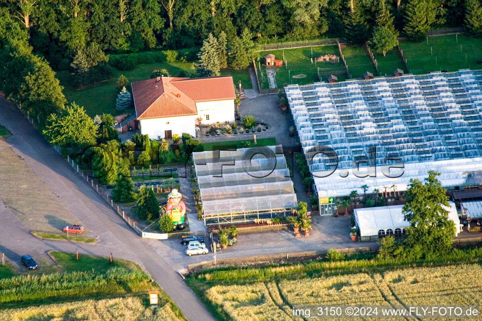 Vue aérienne de Terre de cactus à Steinfeld dans le département Rhénanie-Palatinat, Allemagne