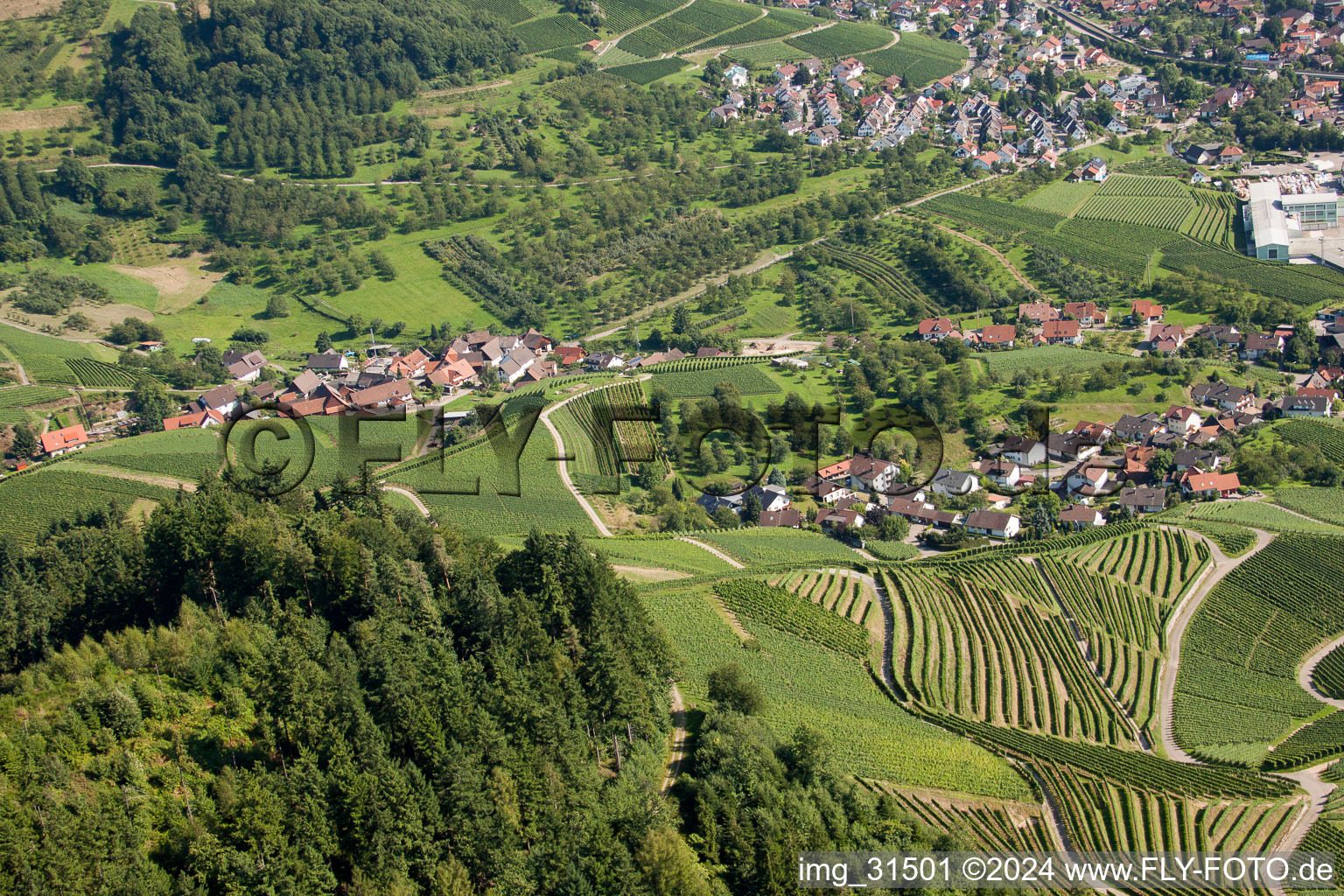 Vignobles près de Bernhardshöfe à Kappelrodeck dans le département Bade-Wurtemberg, Allemagne vue d'en haut