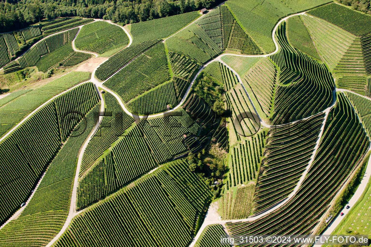 Vue aérienne de Paysage viticole des terroirs viticoles à Kappelrodeck dans le département Bade-Wurtemberg, Allemagne