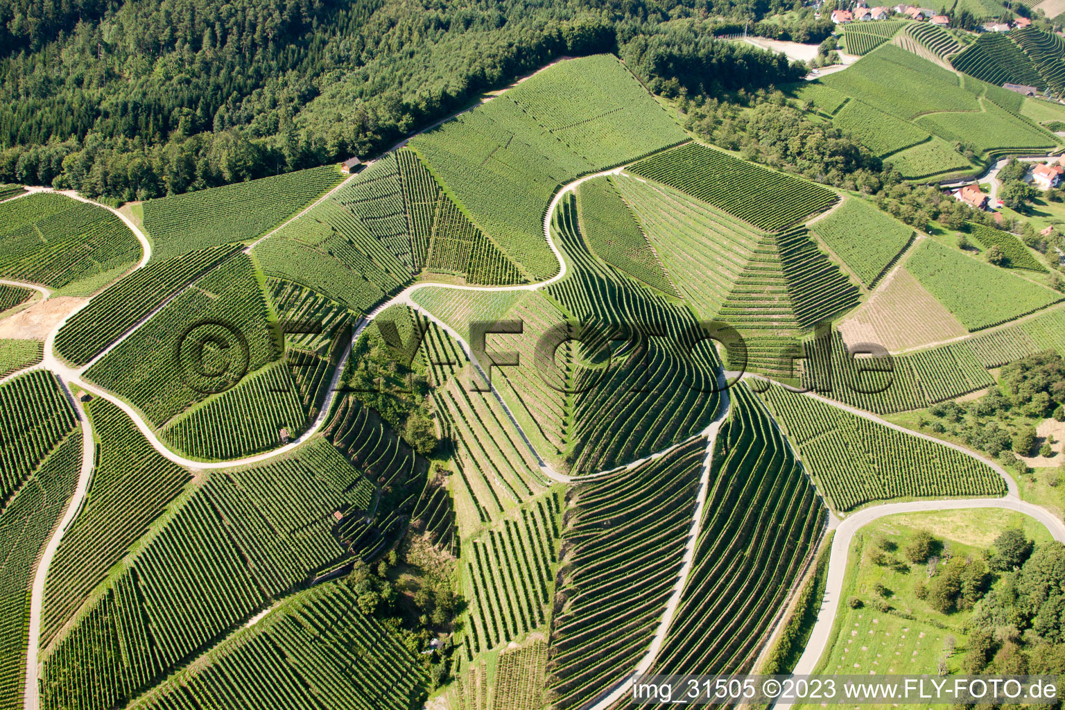 Vignobles près de Bernhardshöfe à Kappelrodeck dans le département Bade-Wurtemberg, Allemagne vue du ciel