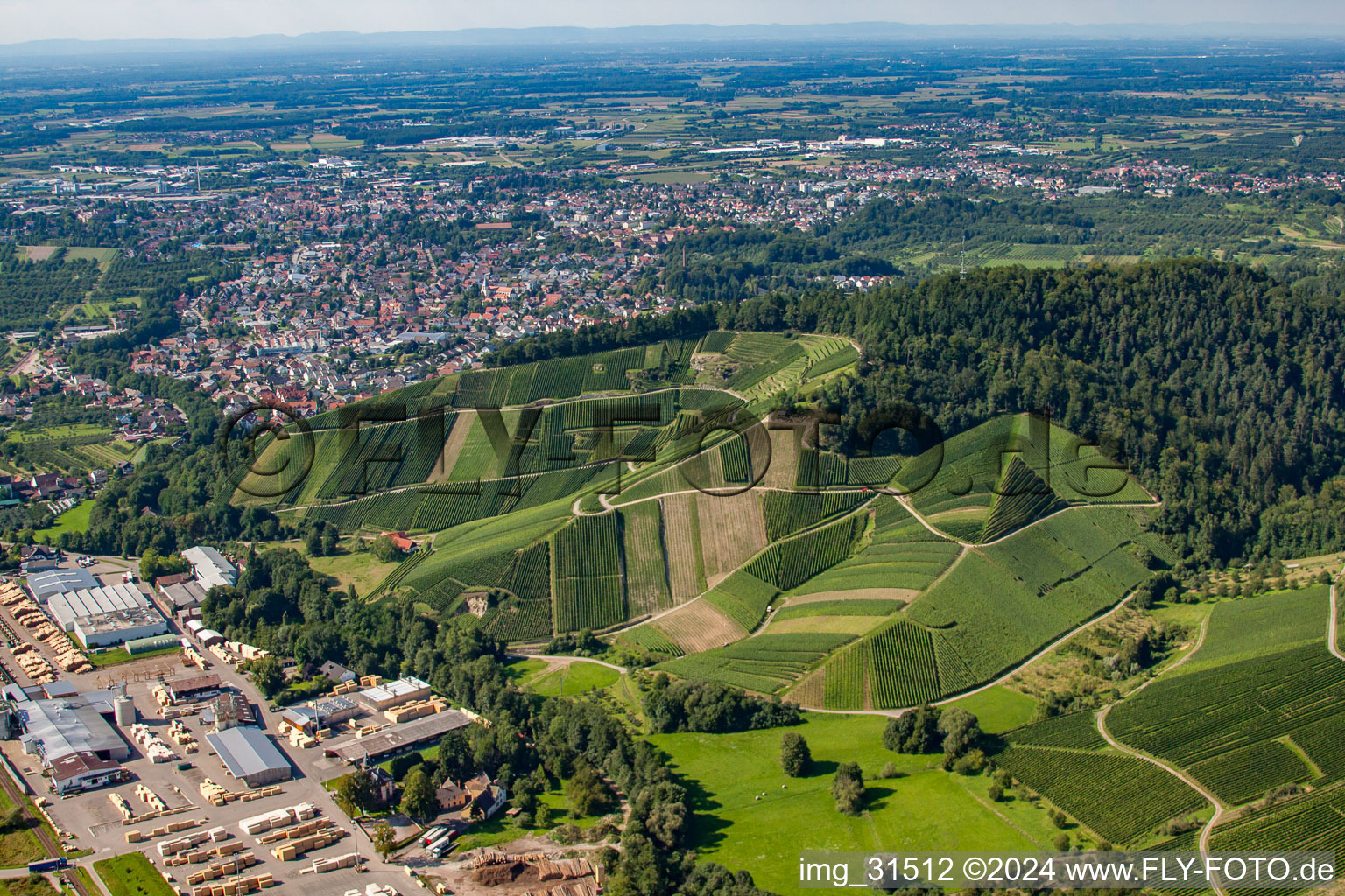 Vue aérienne de Bosse d'abeille à Achern dans le département Bade-Wurtemberg, Allemagne