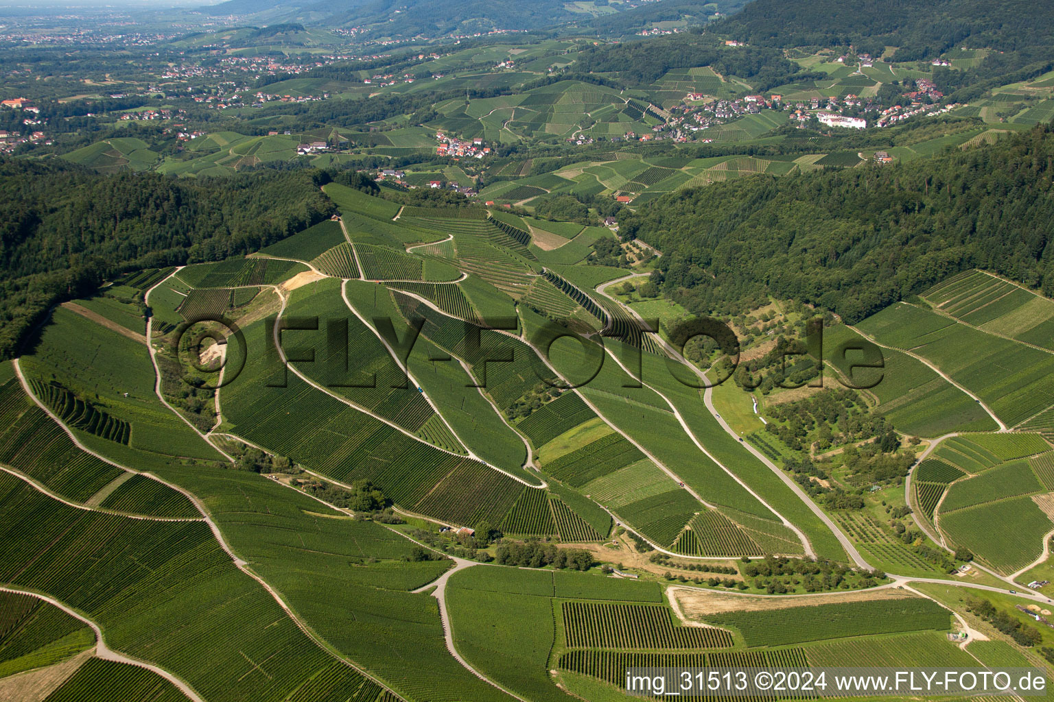 Vue oblique de Vignobles près de Bernhardshöfe à Kappelrodeck dans le département Bade-Wurtemberg, Allemagne