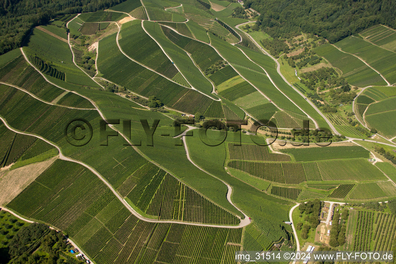 Vignobles près de Bernhardshöfe à Kappelrodeck dans le département Bade-Wurtemberg, Allemagne d'en haut