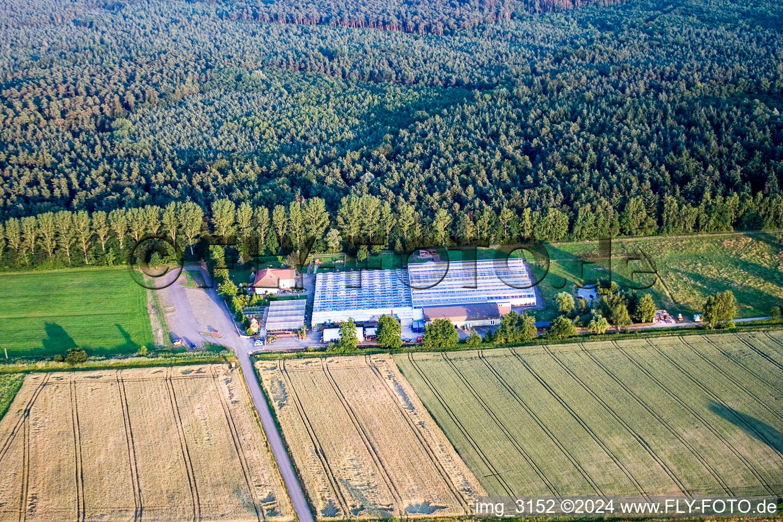 Vue oblique de Terre de cactus à Steinfeld dans le département Rhénanie-Palatinat, Allemagne