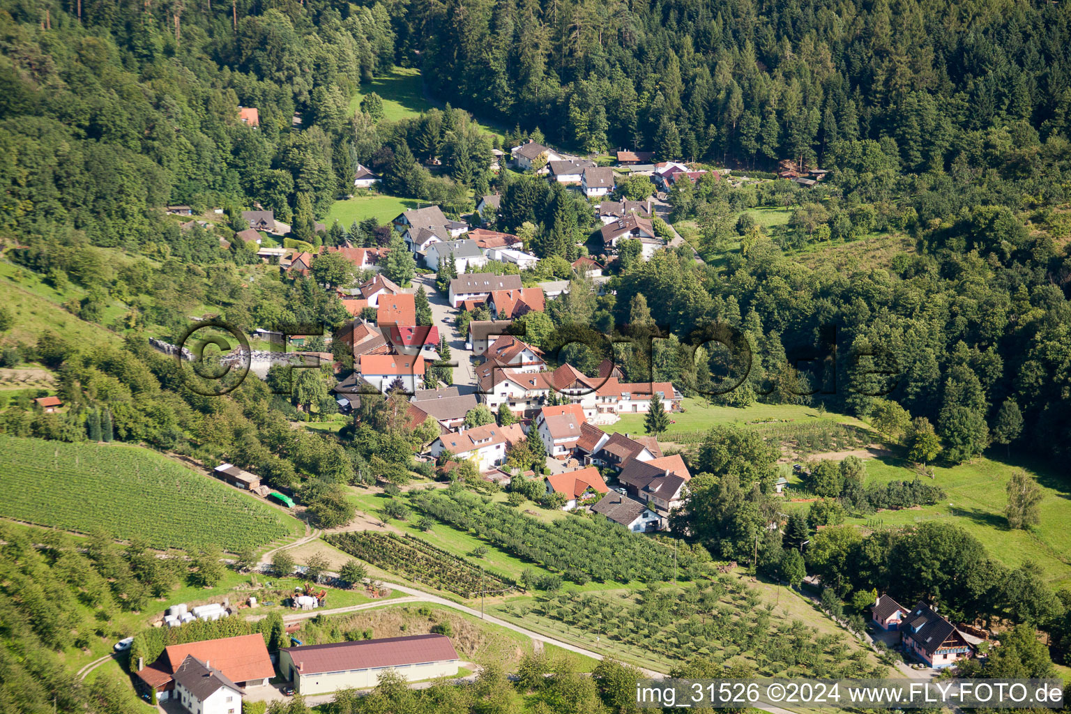 Vue aérienne de Renchen-Kaier à Kaier dans le département Bade-Wurtemberg, Allemagne