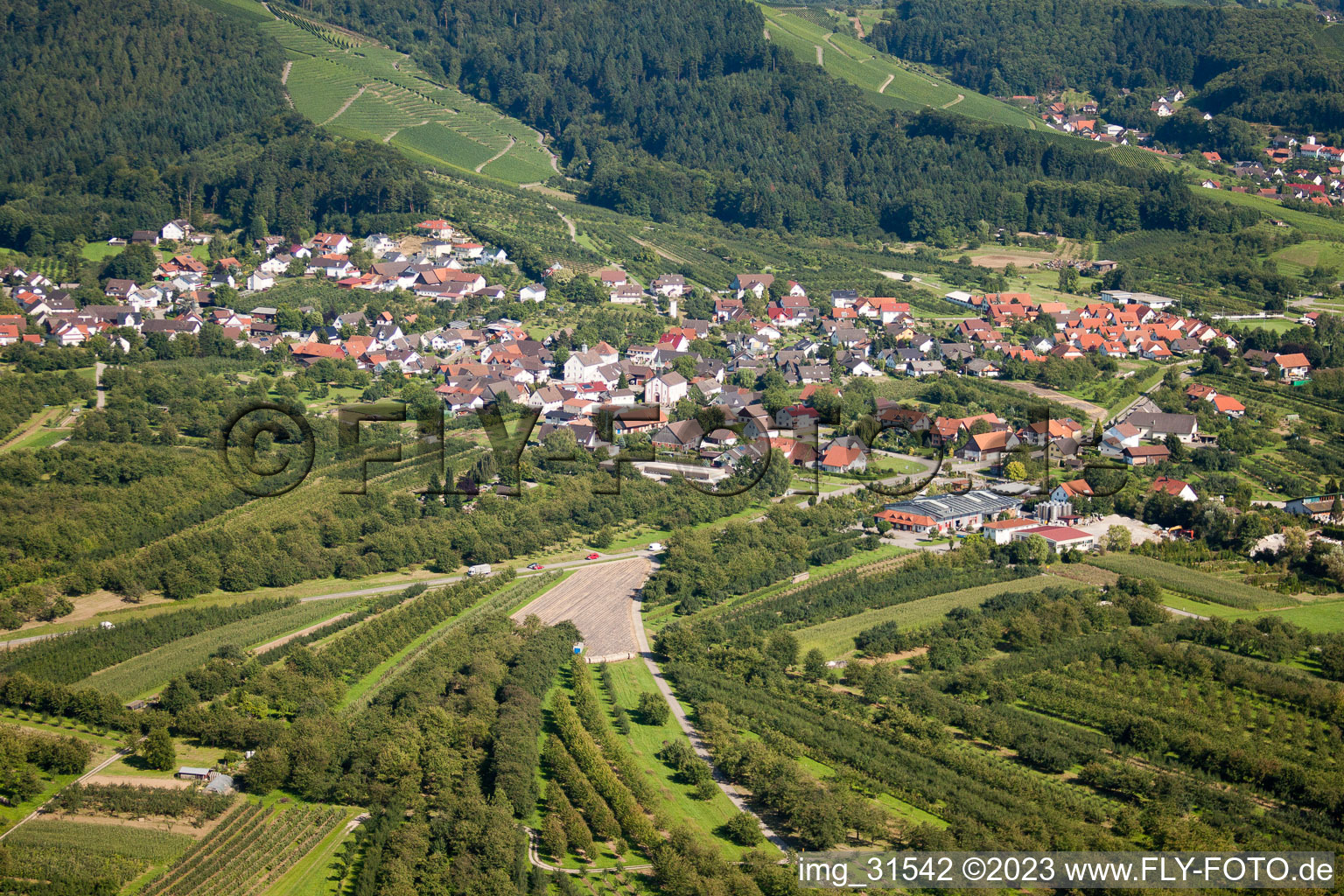 Vue aérienne de Quartier Haslach in Oberkirch dans le département Bade-Wurtemberg, Allemagne
