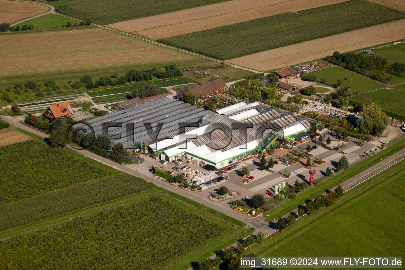 Vue aérienne de Marché aux plantes Blumen Decker GmbH à le quartier Großweier in Achern dans le département Bade-Wurtemberg, Allemagne