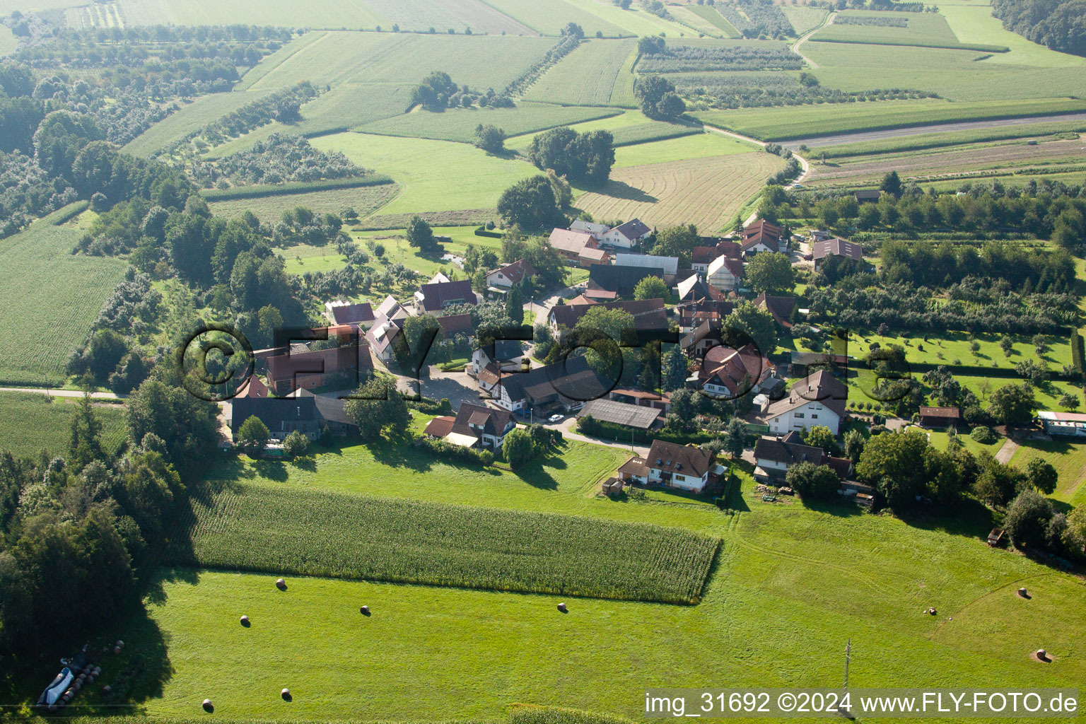 Photographie aérienne de Quartier Walzfeld in Ottersweier dans le département Bade-Wurtemberg, Allemagne