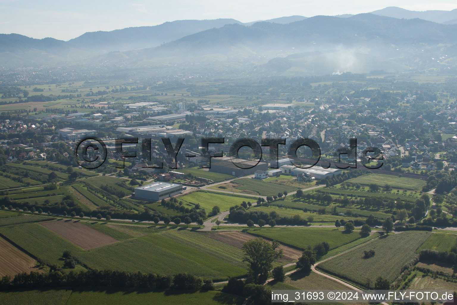 Vue aérienne de Site de l'usine Muffenrohr GmbH à le quartier Hatzenweier in Ottersweier dans le département Bade-Wurtemberg, Allemagne