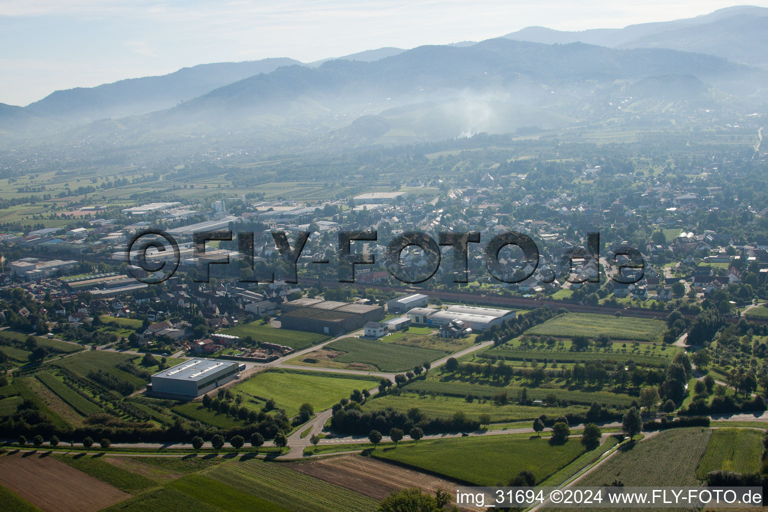 Vue aérienne de Site de l'usine Muffenrohr GmbH à le quartier Hatzenweier in Ottersweier dans le département Bade-Wurtemberg, Allemagne