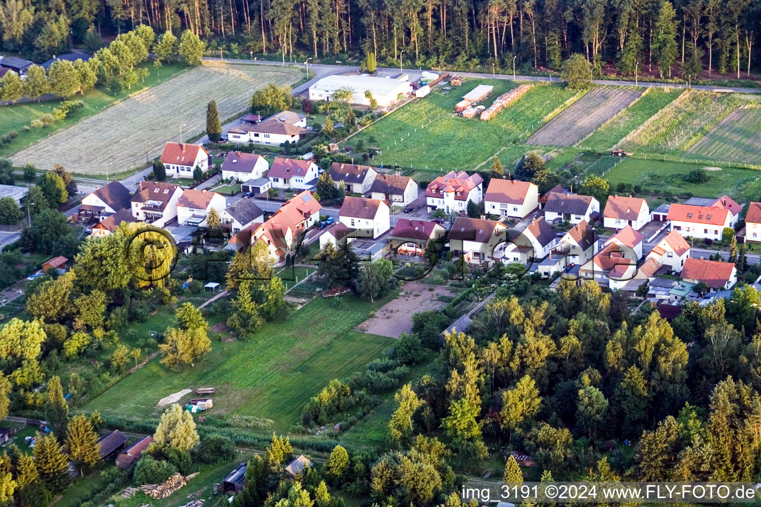 Vue aérienne de Grenzstr à le quartier Schaidt in Wörth am Rhein dans le département Rhénanie-Palatinat, Allemagne