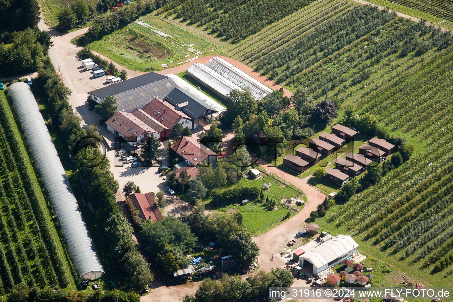 Vue aérienne de Fucheck. Ferme de fraises Dr. Späth à Malsch dans le département Bade-Wurtemberg, Allemagne