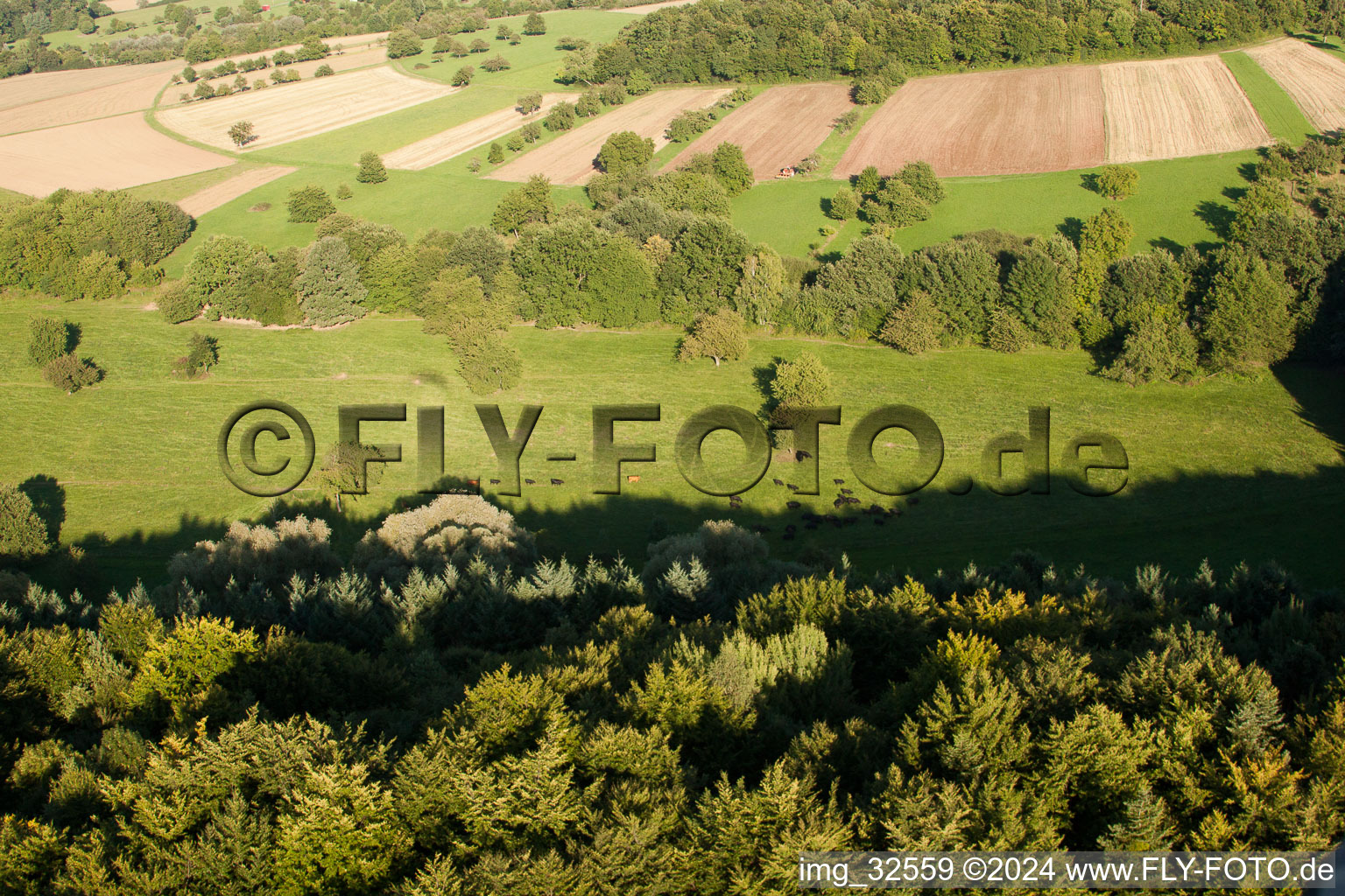 Enregistrement par drone de Réserve naturelle de Kettelbachtal à le quartier Obernhausen in Birkenfeld dans le département Bade-Wurtemberg, Allemagne