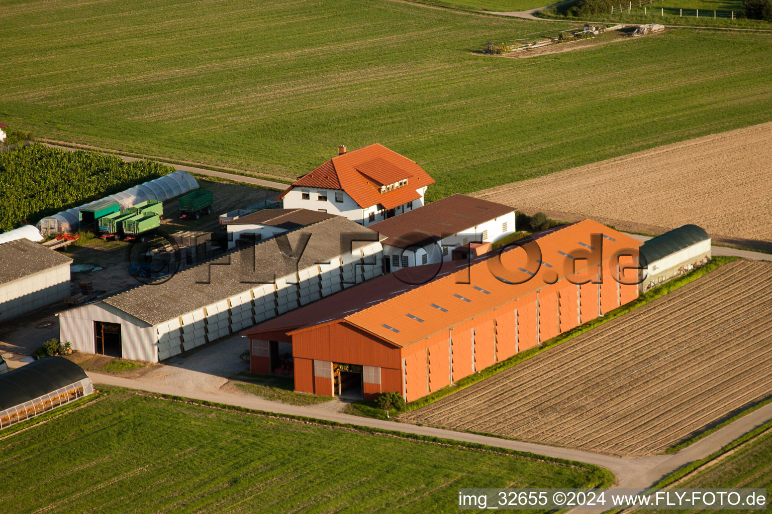 Vue aérienne de Fermes d'émigrants à Hatzenbühl dans le département Rhénanie-Palatinat, Allemagne