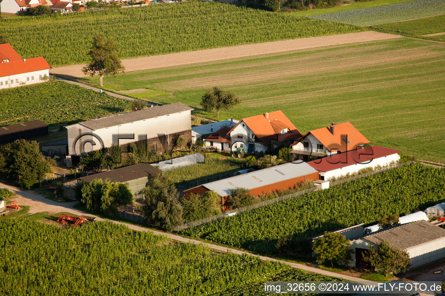 Vue aérienne de Fermes d'émigrants à Hatzenbühl dans le département Rhénanie-Palatinat, Allemagne