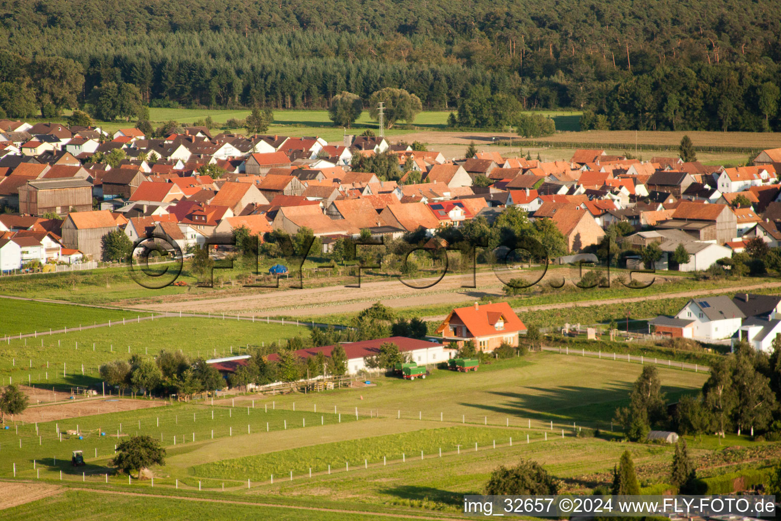 Photographie aérienne de Fermes d'émigrants à Hatzenbühl dans le département Rhénanie-Palatinat, Allemagne