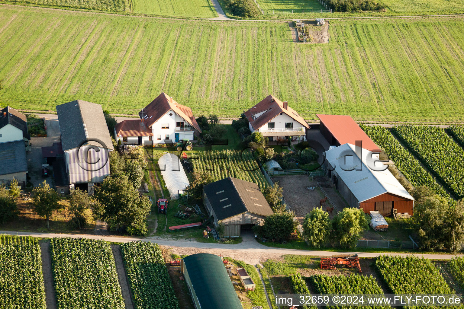 Fermes d'émigrants à Hatzenbühl dans le département Rhénanie-Palatinat, Allemagne d'en haut