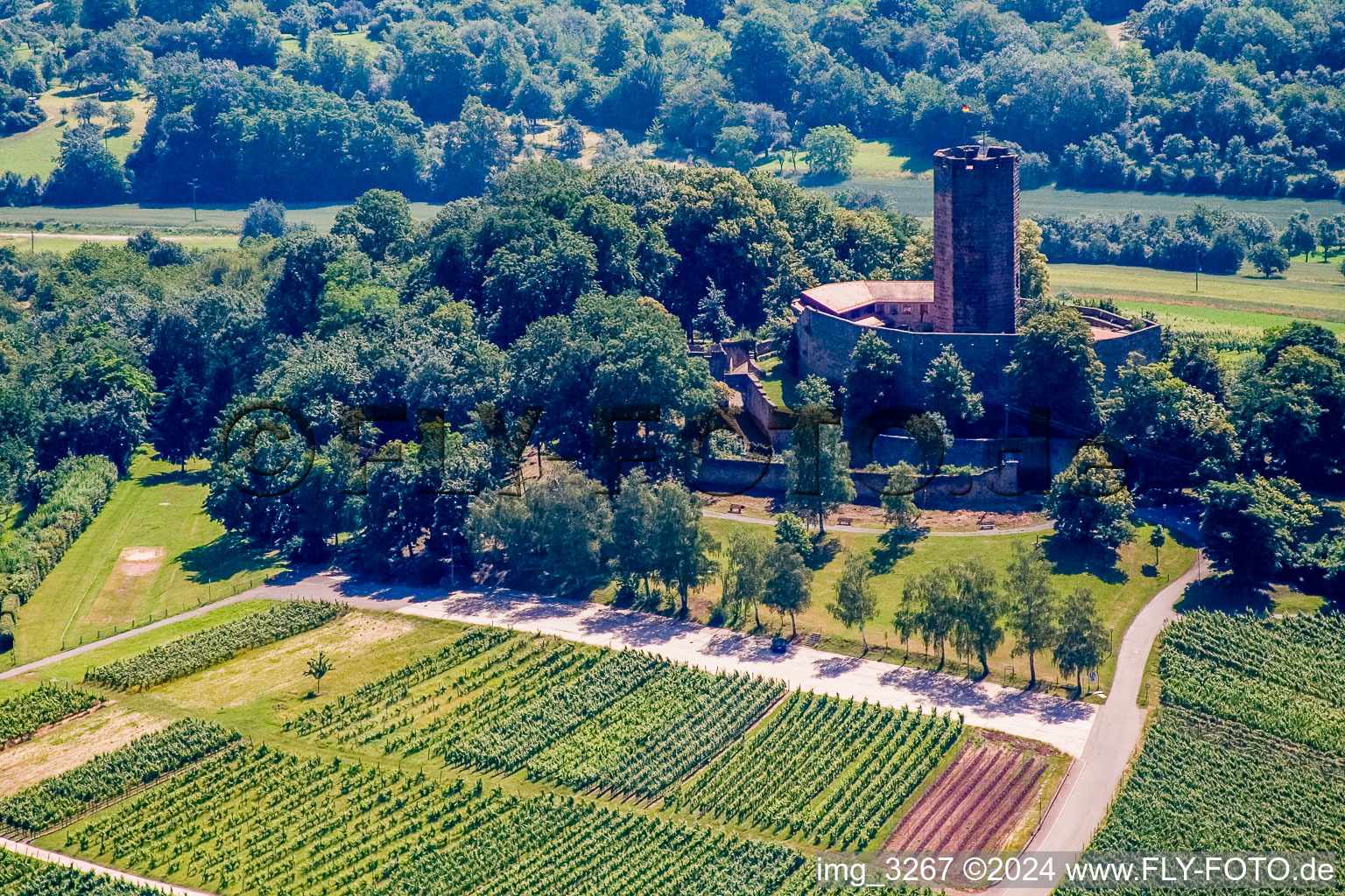 Vue aérienne de Hameau, ruines du Steinsberg à Sinsheim dans le département Bade-Wurtemberg, Allemagne