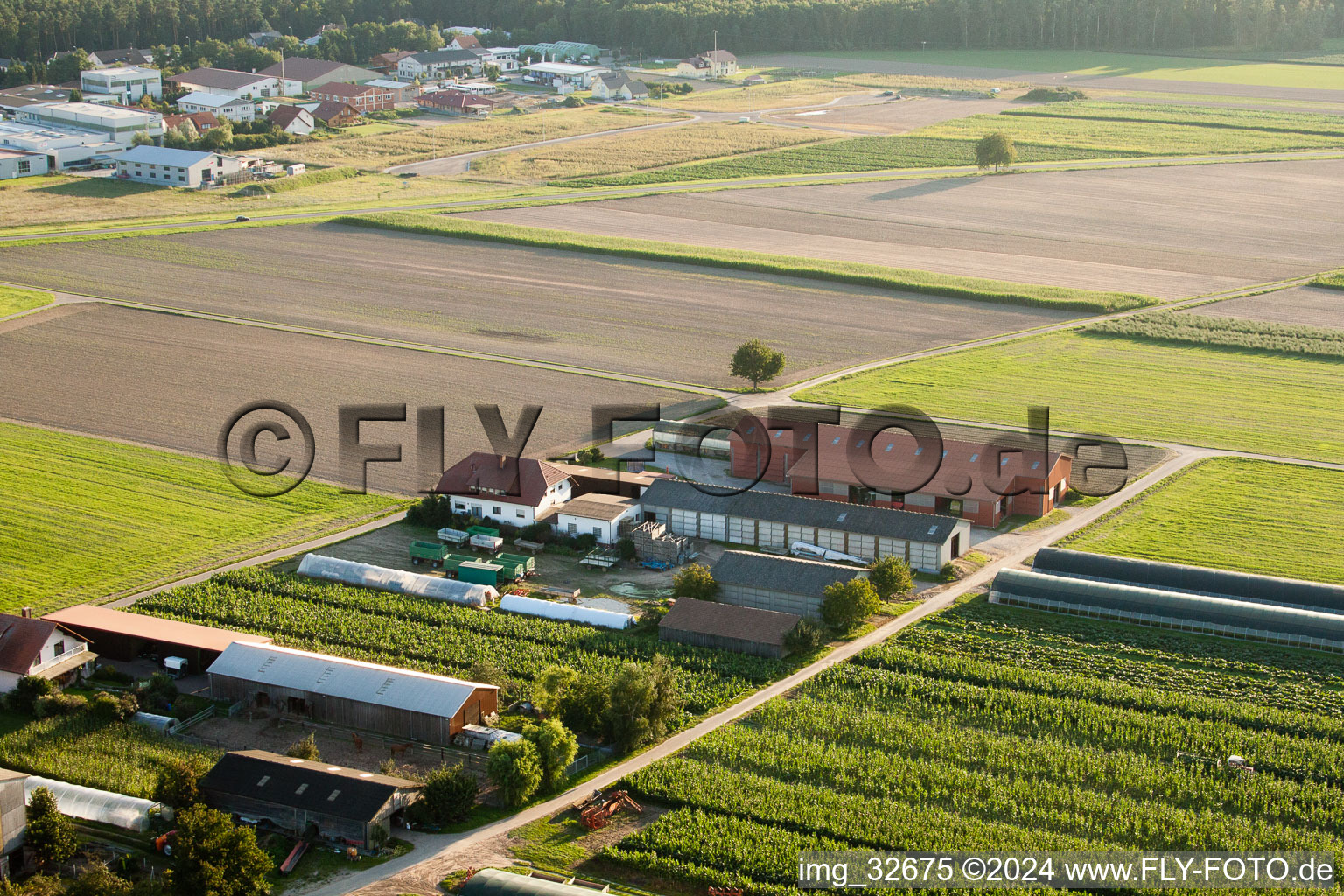 Fermes d'émigrants à Hatzenbühl dans le département Rhénanie-Palatinat, Allemagne vue du ciel