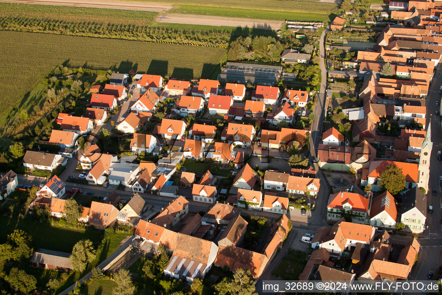 Vue aérienne de Allée de jardin à Erlenbach bei Kandel dans le département Rhénanie-Palatinat, Allemagne