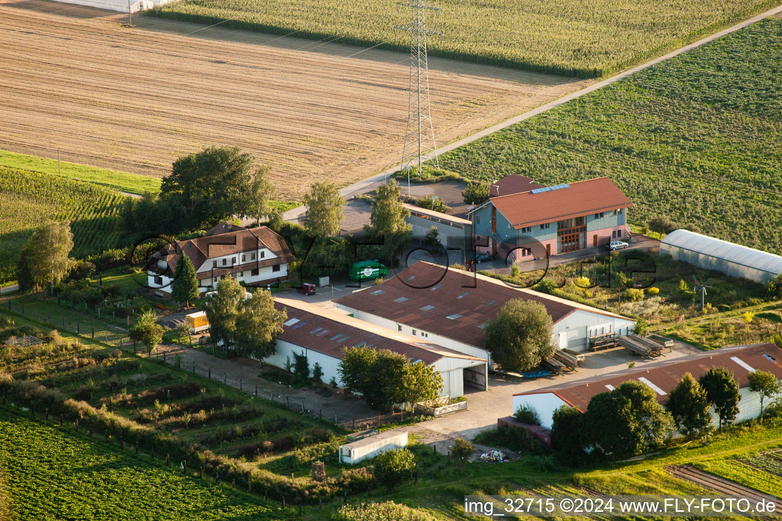 Image drone de Schosberghof à Minfeld dans le département Rhénanie-Palatinat, Allemagne