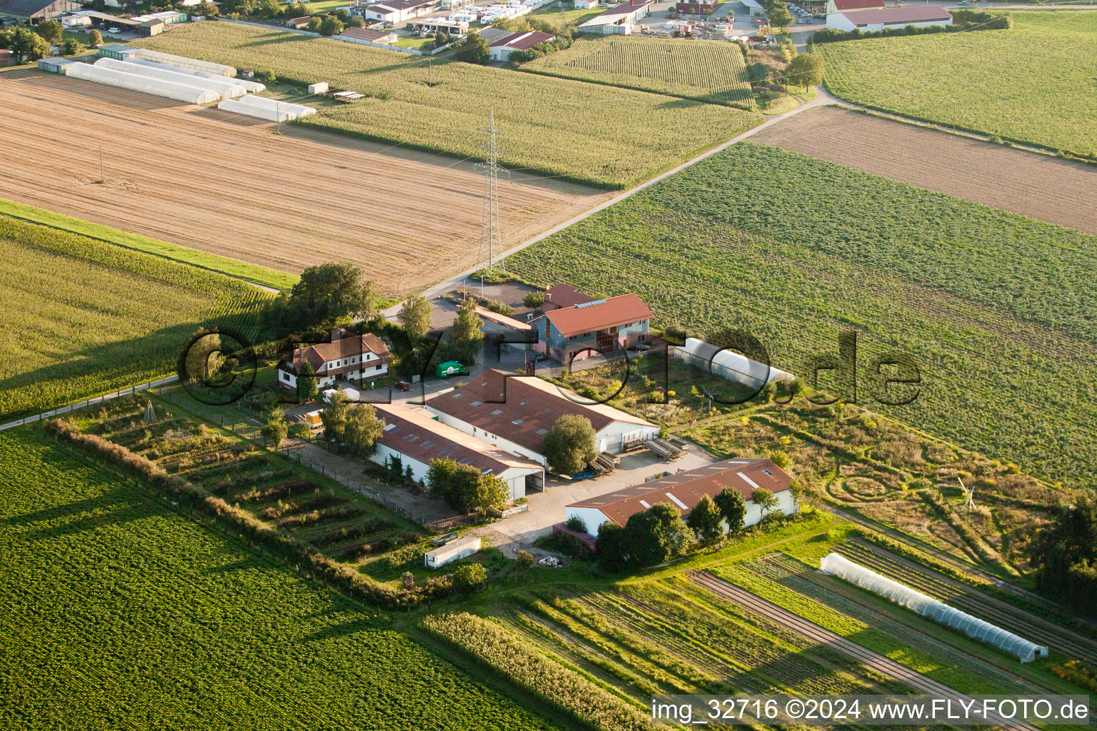 Schosberghof à Minfeld dans le département Rhénanie-Palatinat, Allemagne du point de vue du drone