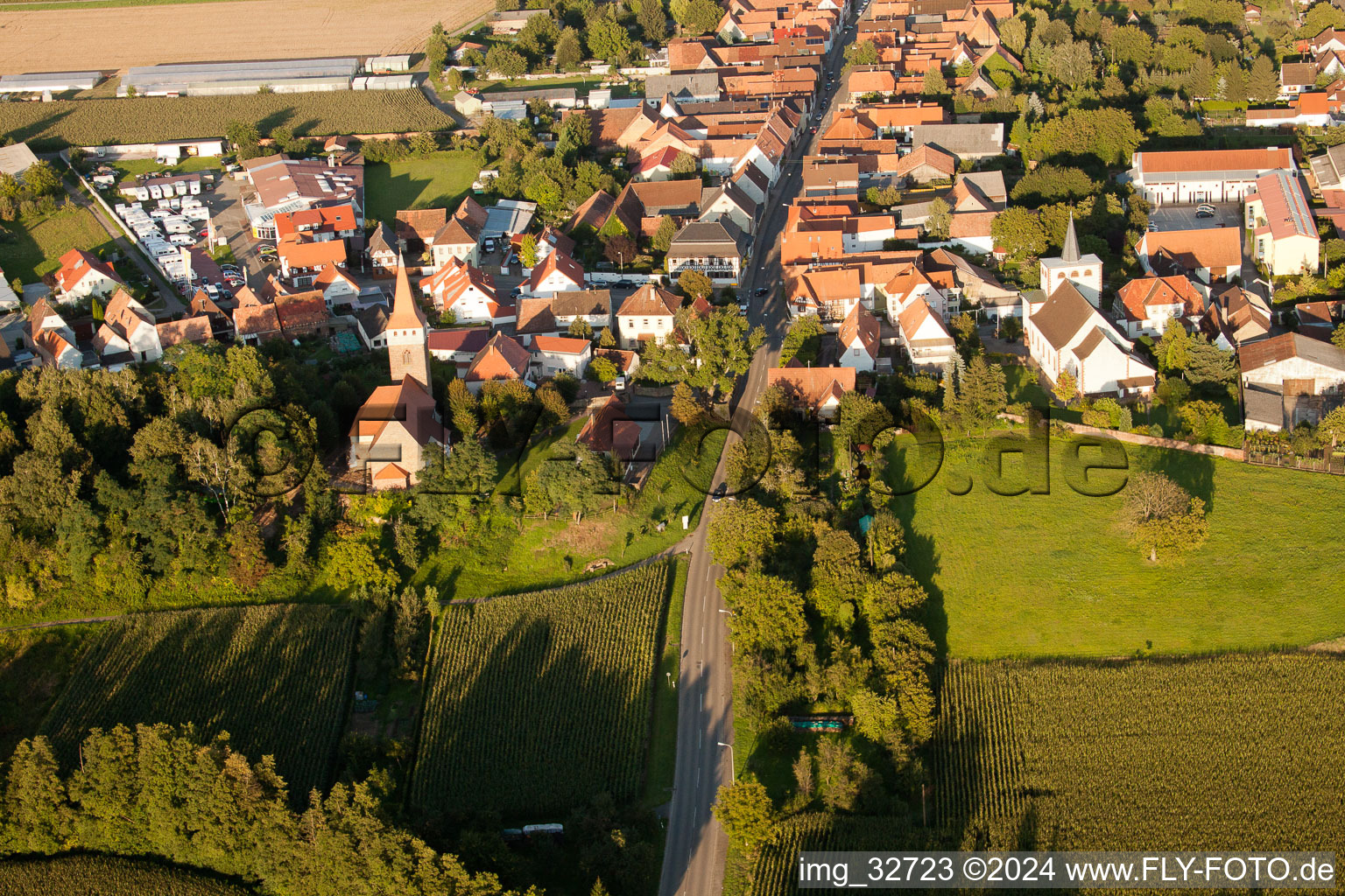 Vue oblique de Minfeld dans le département Rhénanie-Palatinat, Allemagne