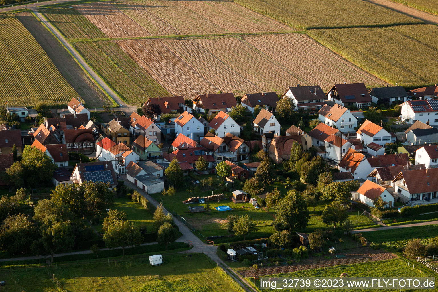 Photographie aérienne de Dans le Gänsried à Freckenfeld dans le département Rhénanie-Palatinat, Allemagne