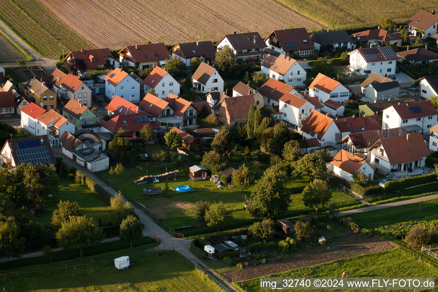 Vue oblique de Dans le Gänsried à Freckenfeld dans le département Rhénanie-Palatinat, Allemagne