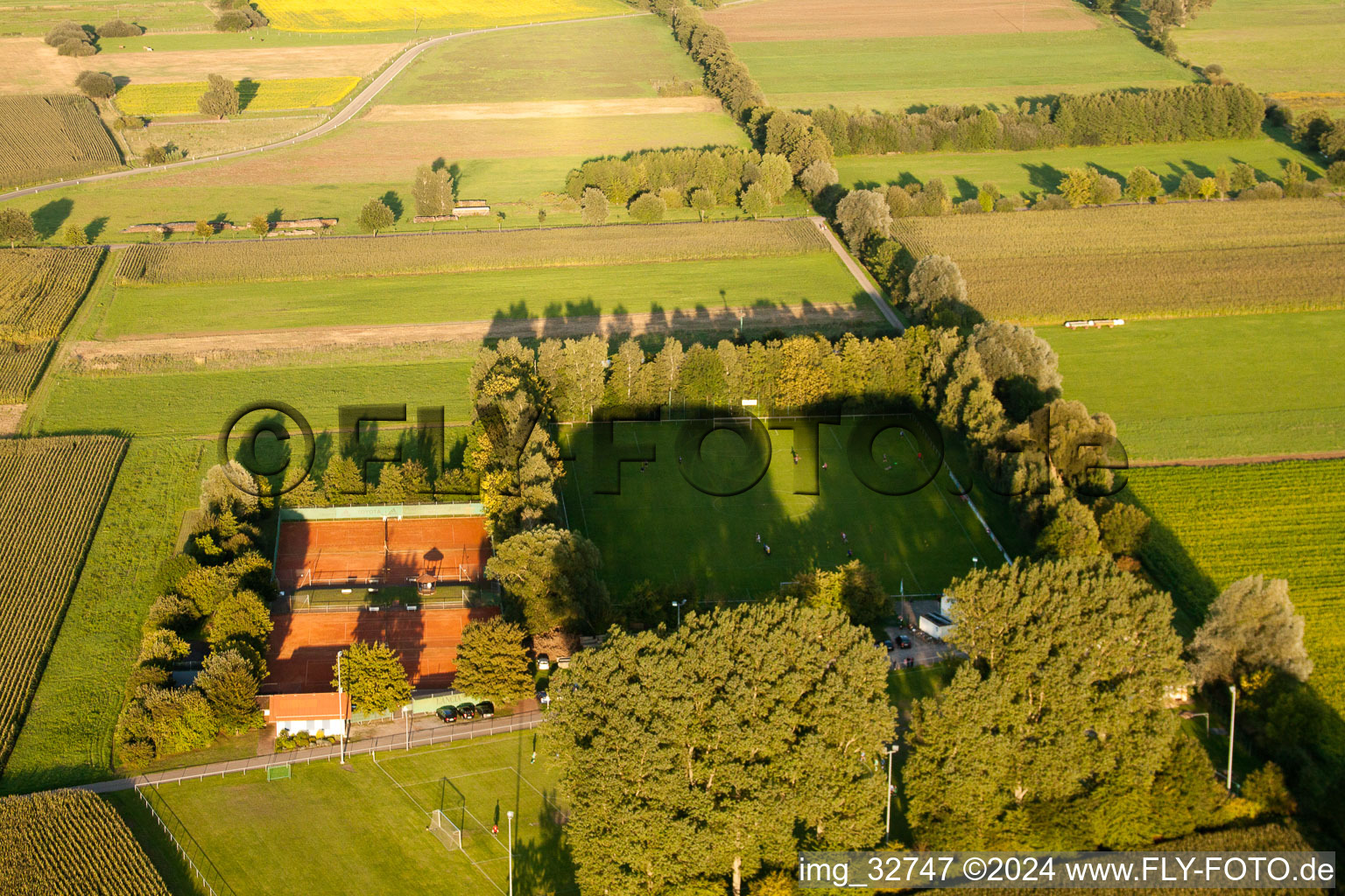 Terrains de sport à Minfeld dans le département Rhénanie-Palatinat, Allemagne vue d'en haut