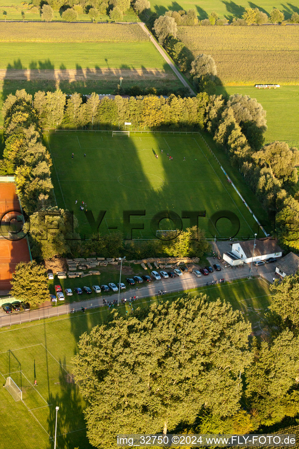 Vue d'oiseau de Terrains de sport à Minfeld dans le département Rhénanie-Palatinat, Allemagne