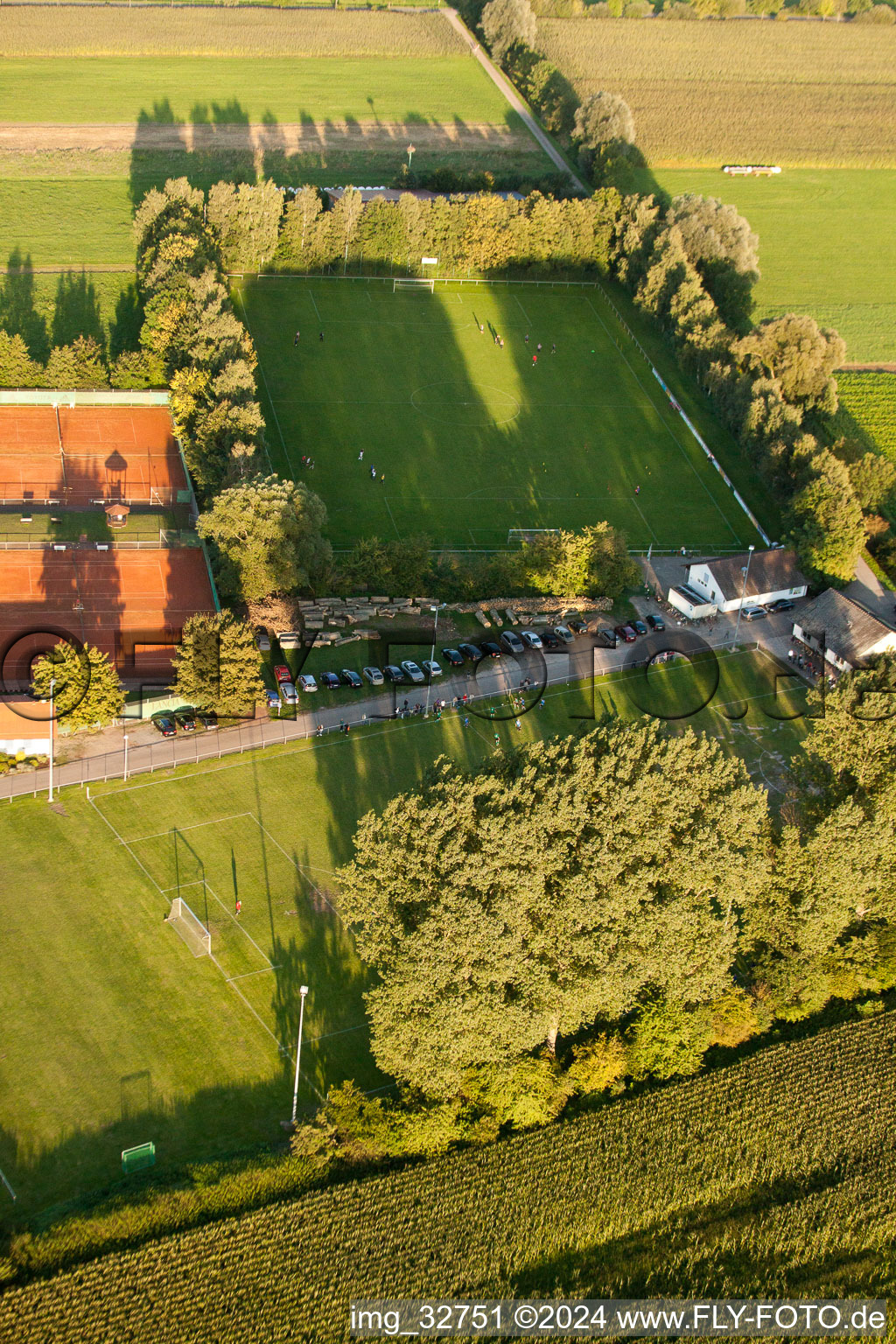 Terrains de sport à Minfeld dans le département Rhénanie-Palatinat, Allemagne vue du ciel