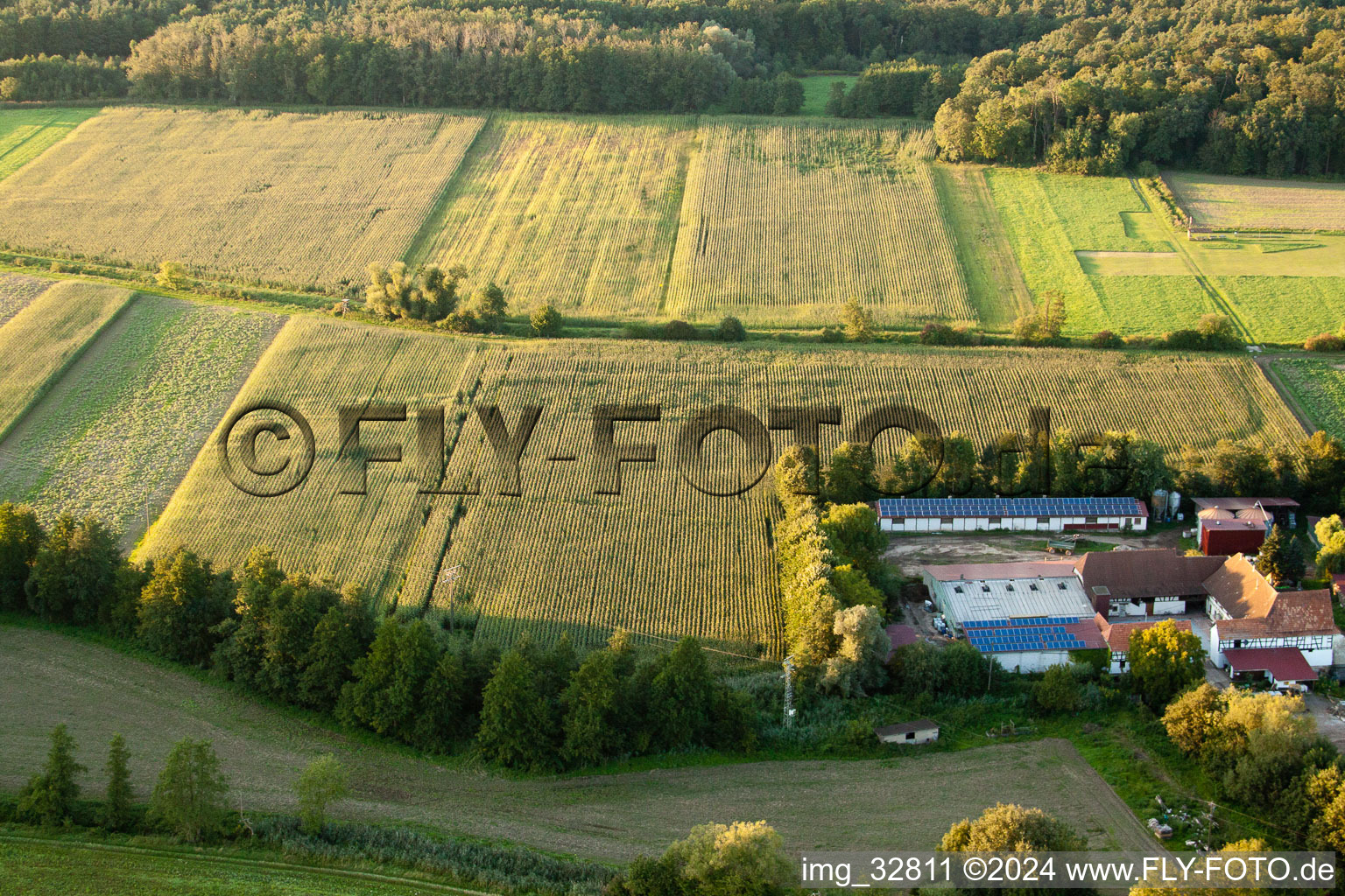 Vue aérienne de Moulin à rebord à Erlenbach bei Kandel dans le département Rhénanie-Palatinat, Allemagne