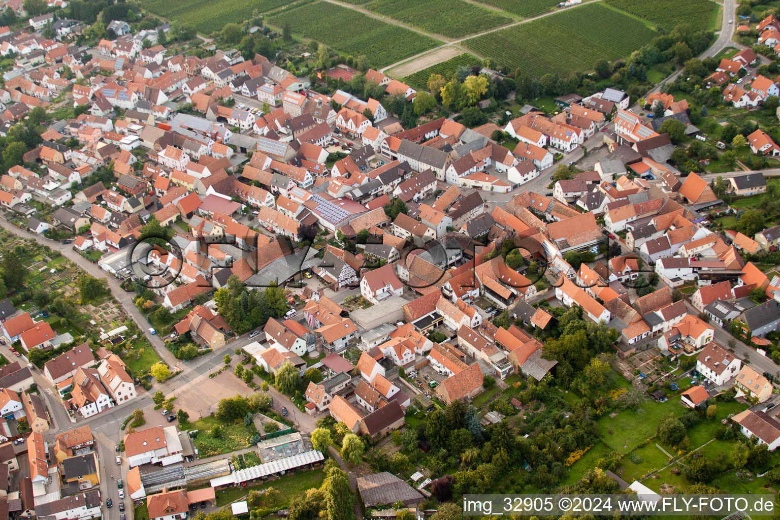 Vue d'oiseau de Insheim dans le département Rhénanie-Palatinat, Allemagne