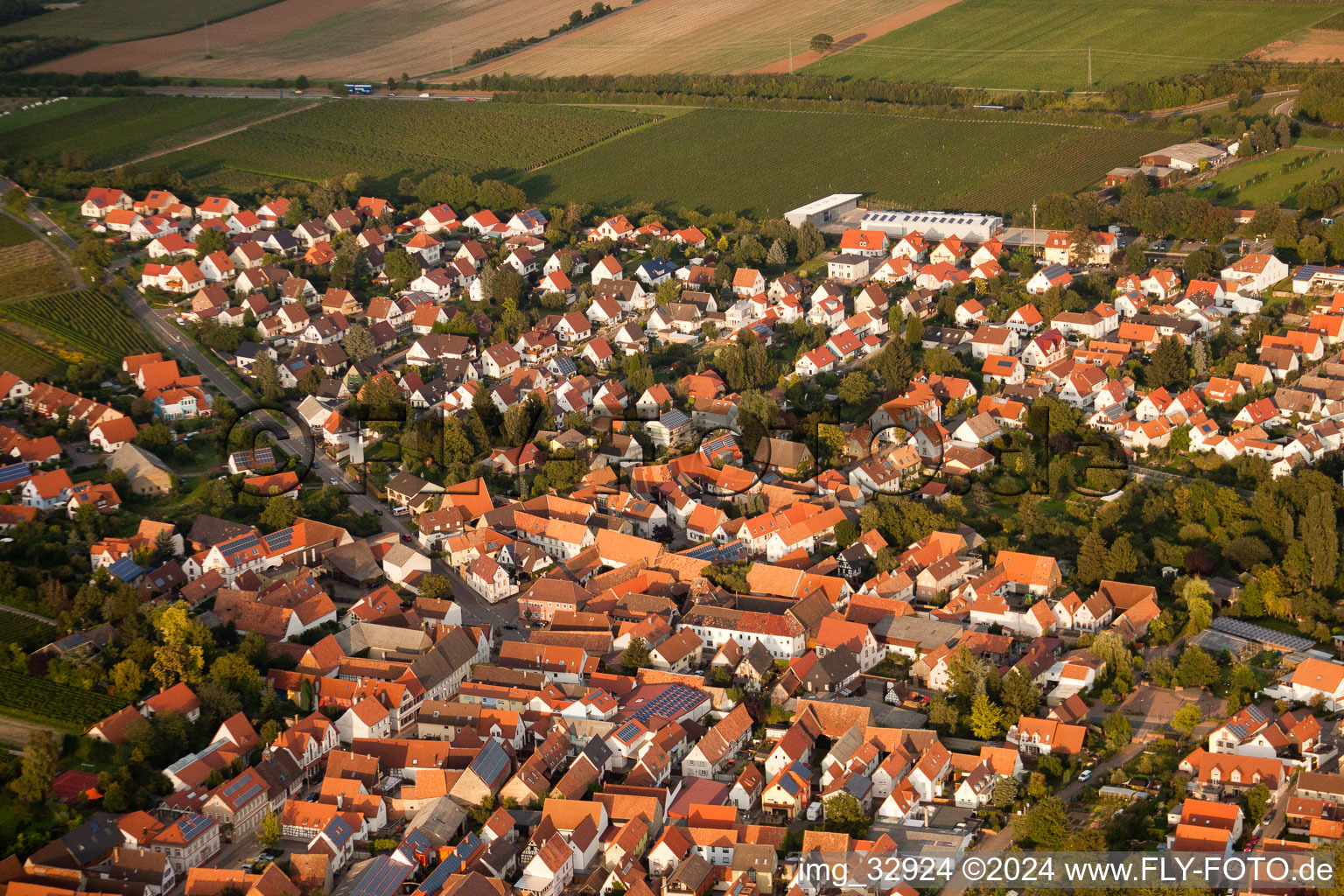 Insheim dans le département Rhénanie-Palatinat, Allemagne du point de vue du drone