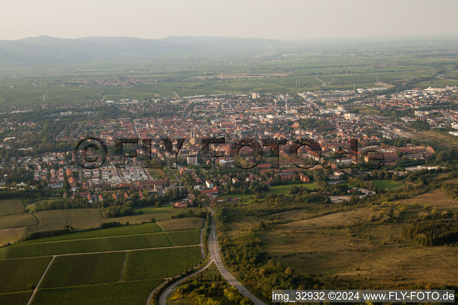 Landau du sud à Landau in der Pfalz dans le département Rhénanie-Palatinat, Allemagne d'en haut